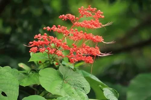 狀元紅資料免費(fèi)大全——助力學(xué)術(shù)研究與個(gè)人成長的寶貴資源，狀元紅資料免費(fèi)大全，助力學(xué)術(shù)研究與個(gè)人成長的必備資源庫