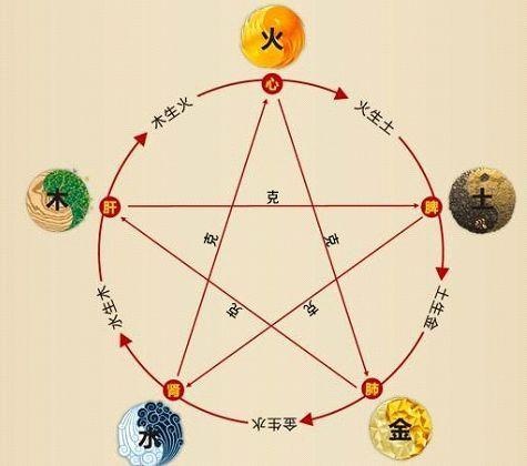 鐵算算盤4887最準(zhǔn)資料，揭秘精準(zhǔn)預(yù)測(cè)的秘密，揭秘鐵算算盤4887精準(zhǔn)預(yù)測(cè)的秘密資料