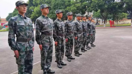 一個(gè)省有多少部隊(duì)，深度解析中國(guó)軍隊(duì)省域分布，中國(guó)軍隊(duì)省域分布深度解析，一省究竟駐有多少部隊(duì)？