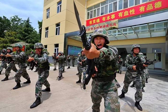 依法治軍從嚴(yán)治軍單位事跡，鍛造紀(jì)律之師的典范，鍛造紀(jì)律之師的典范，依法治軍從嚴(yán)治軍單位事跡展