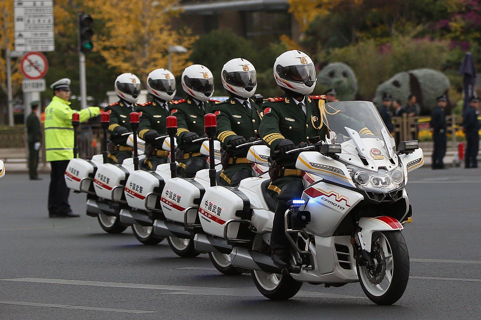 中國(guó)護(hù)衛(wèi)車隊(duì)的車輛裝備概述，中國(guó)護(hù)衛(wèi)車隊(duì)車輛裝備概覽