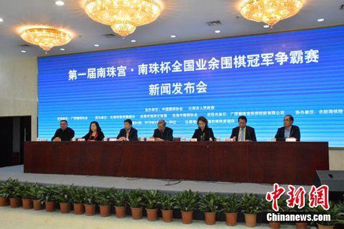 王中王王中王免費(fèi)資料大全一，深度解析與探索，王中王王中王資料大全深度解析與探索一
