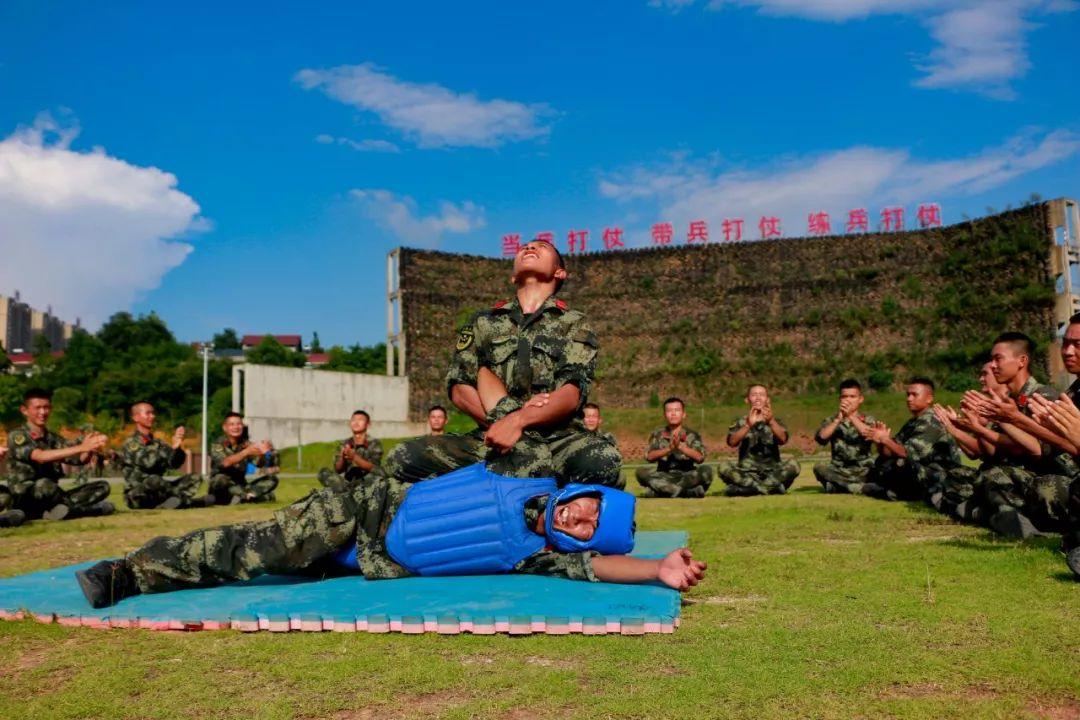 堅(jiān)韌與奉獻(xiàn)