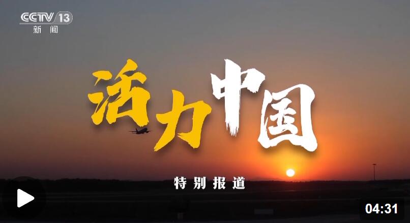 澳門正版資料免費(fèi)大全新聞，探索與解讀，澳門正版資料免費(fèi)大全新聞，深度探索與解讀