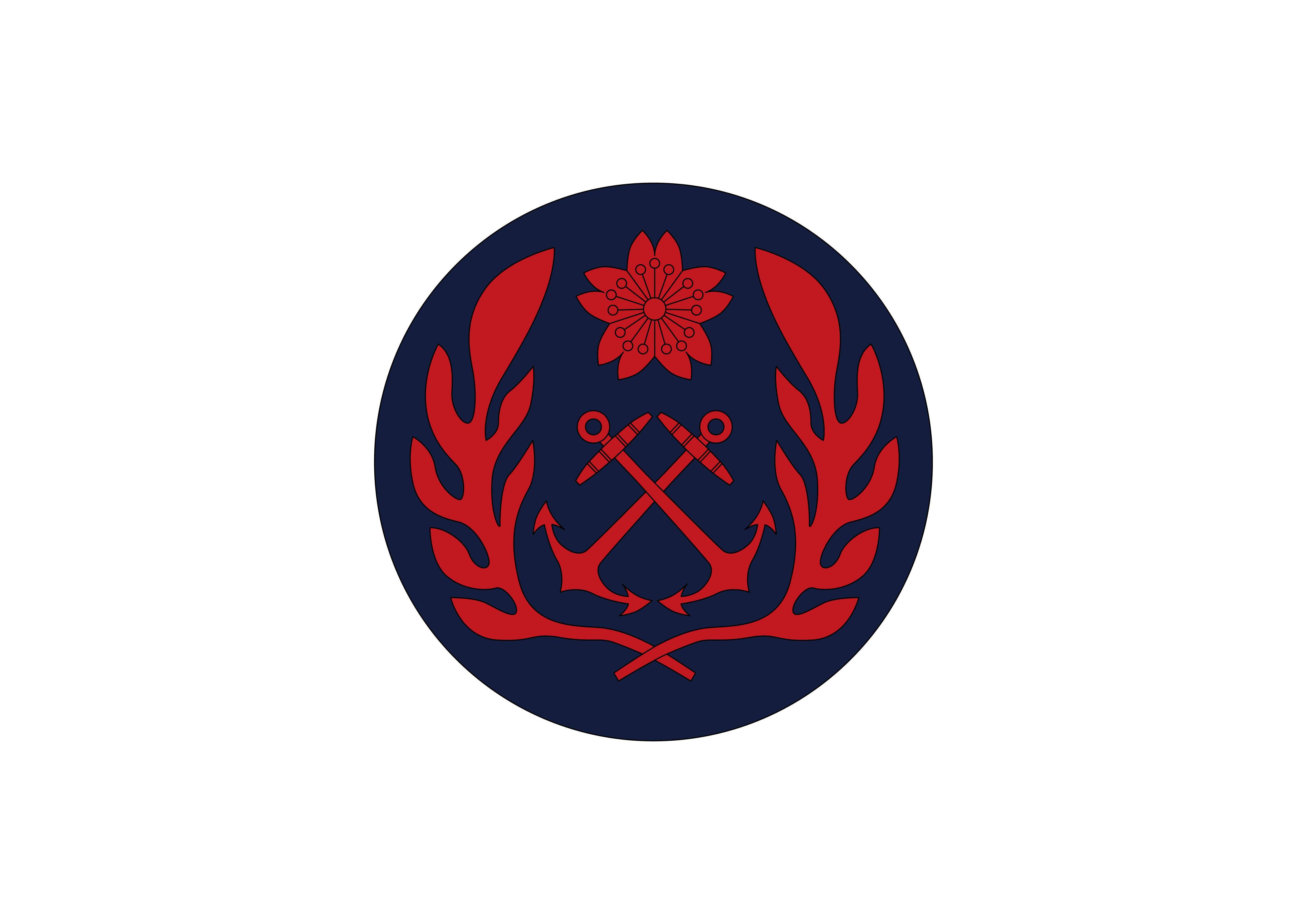 海軍臂章，榮耀的象征與職責(zé)的承載，海軍臂章，榮耀與職責(zé)的徽章