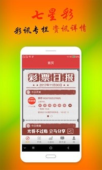 探索澳門今晚必開一肖的神秘面紗，文化與概率的交織，澳門今晚必開一肖，文化與概率的交織的神秘面紗探索