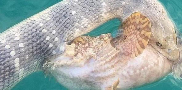 打撈船的價(jià)格及其相關(guān)因素解析，打撈船價(jià)格解析，涉及因素詳解