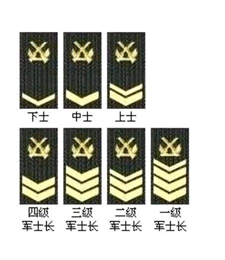 七級士官，級別待遇深度解析，七級士官級別待遇深度解析與探討