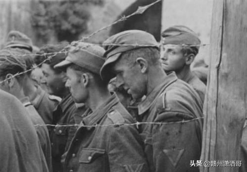 志愿軍軍歌與純音樂(lè)的交響，志愿軍軍歌與純音樂(lè)的交響，英勇旋律的交融與傳承