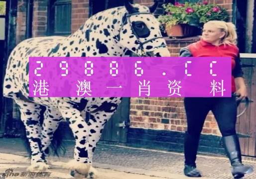 香港王中王一肖一特一中，商業(yè)巨頭與社會影響力，香港商業(yè)巨頭王中王，社會影響力與商業(yè)成就的雙重輝映