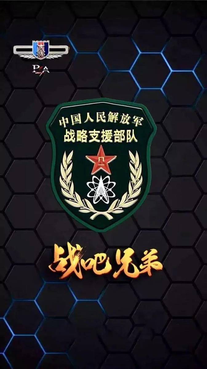 戰(zhàn)略支援部隊(duì)，作為一種特殊的軍種，戰(zhàn)略支援部隊(duì)，特殊軍種的獨(dú)特力量