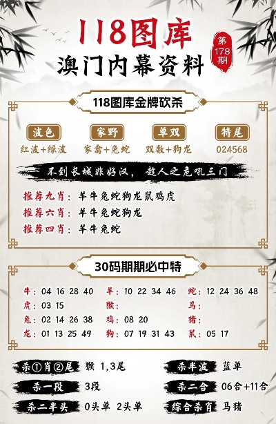 新澳門正版精準免費大全，探索與解析，澳門正版精準資料探索與解析大全