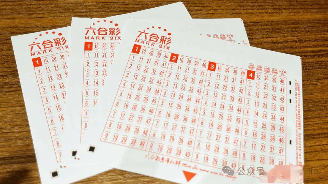 澳門1955四肖八碼期期準(zhǔn)，揭秘彩票背后的秘密，澳門1955四肖八碼彩票揭秘，期期準(zhǔn)背后的秘密大揭秘