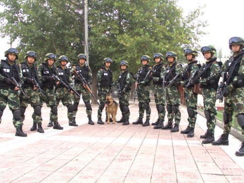 中國人民武裝警察部隊學(xué)校的全面解析，中國人民武裝警察部隊學(xué)校全面解析概覽