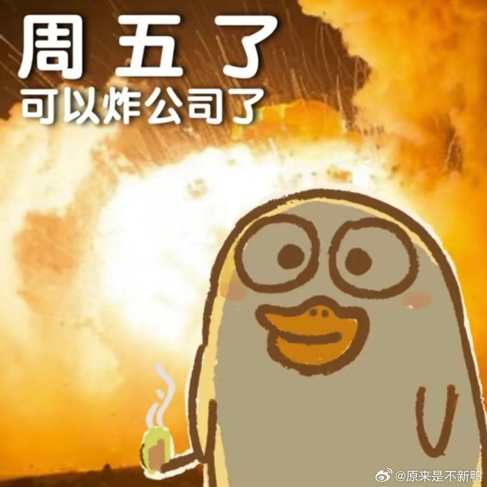 今天周五，鴨圖片的美好時光，周五的鴨圖時光，美好瞬間記錄