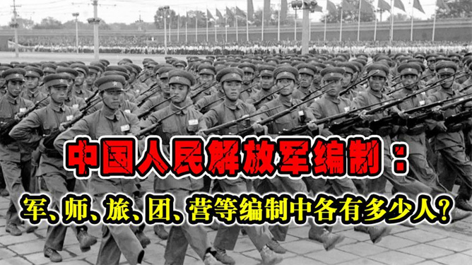 中國(guó)人民解放軍部隊(duì)編制概述，中國(guó)人民解放軍部隊(duì)編制概覽