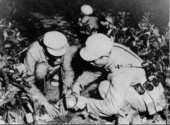 中國人民志愿軍的組建時間，歷史記憶與民族精神，中國人民志愿軍的組建歷程，歷史記憶與民族精神的彰顯
