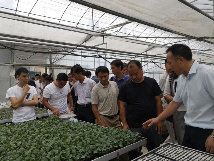 鎮(zhèn)海新聞網(wǎng)，引領(lǐng)地方新聞發(fā)展的先鋒力量，鎮(zhèn)海新聞網(wǎng)，引領(lǐng)地方新聞發(fā)展的先鋒號(hào)角