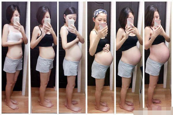 殲11與殲10的大小對比，殲11與殲10尺寸對比，揭秘兩款戰(zhàn)機大小差異