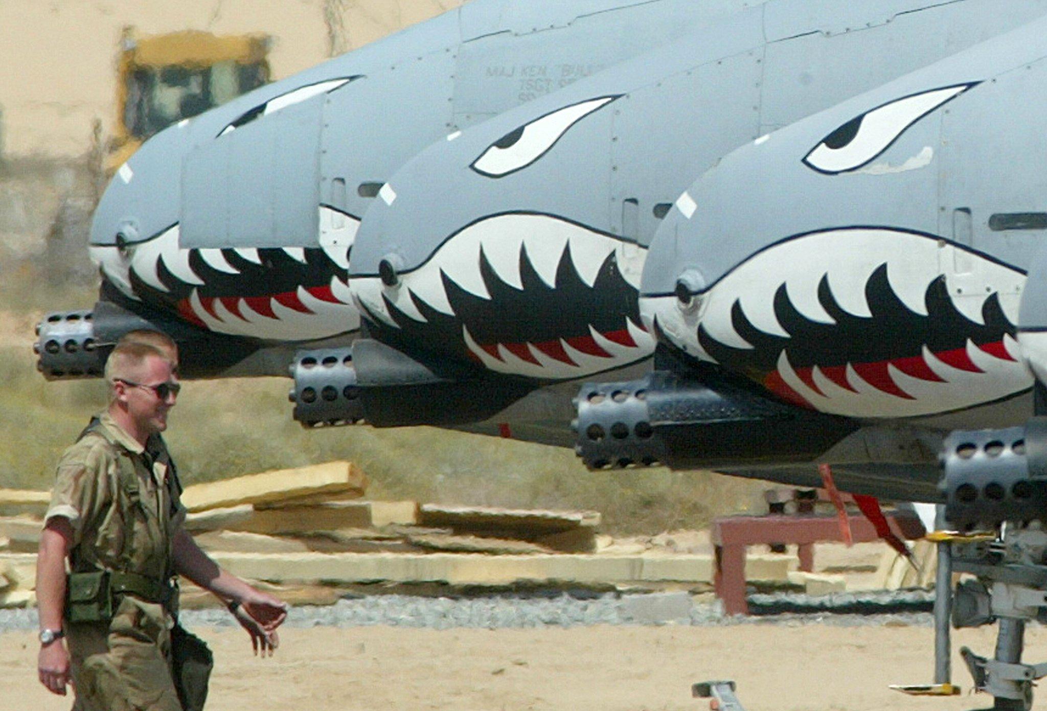 A10攻擊機(jī)與豬的意外交匯，探索軍事技術(shù)與農(nóng)業(yè)生態(tài)的奇妙聯(lián)系，A10攻擊機(jī)與豬的意外交匯，軍事技術(shù)與農(nóng)業(yè)生態(tài)的交融奇跡