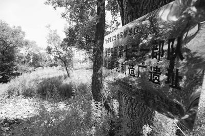 探尋歷史記憶，關于5446部隊遺址與遺體照片的沉思，探尋歷史記憶，對5446部隊遺址與遺體照片的深刻沉思