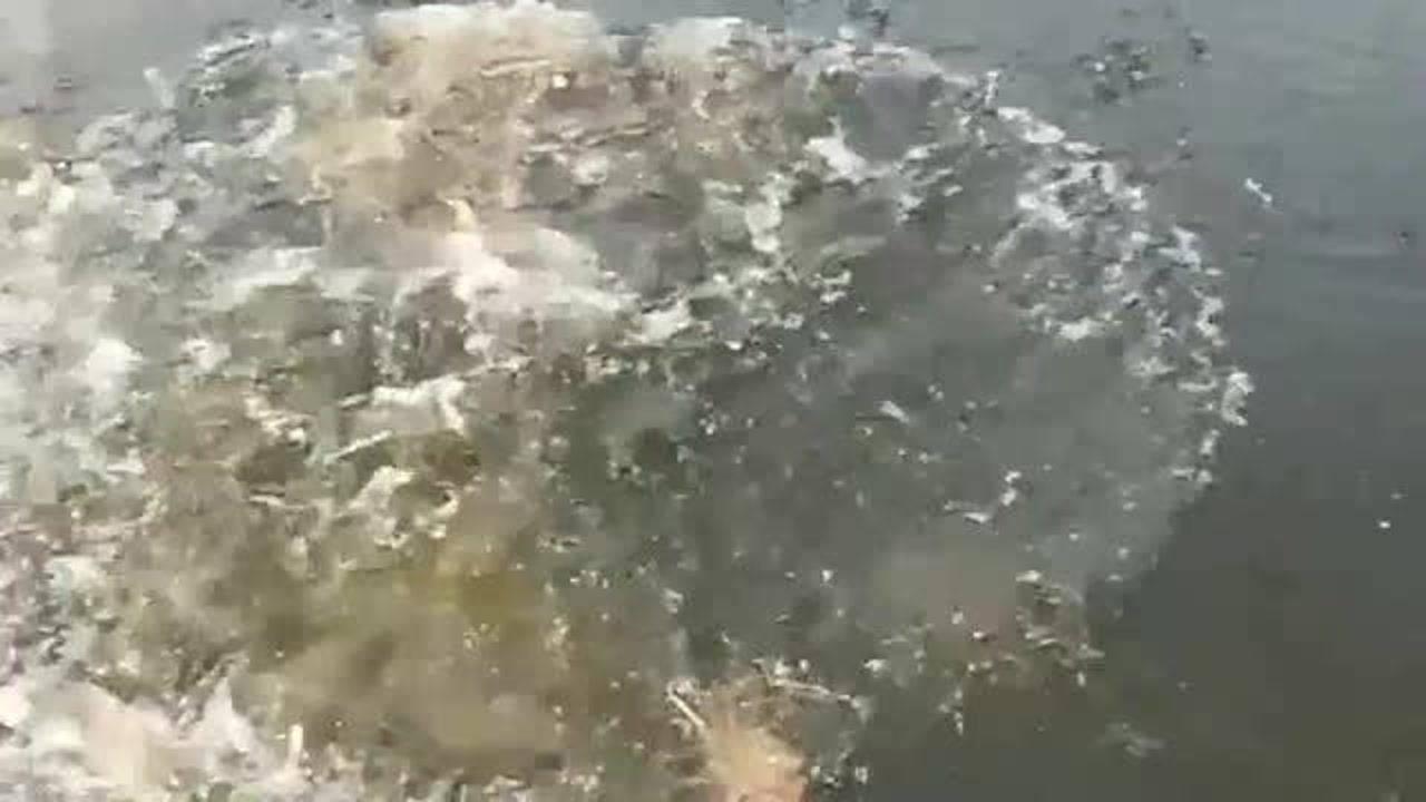 探索未知，它能浮在水面上嗎？，探索未知，揭秘水面漂浮的神秘力量！