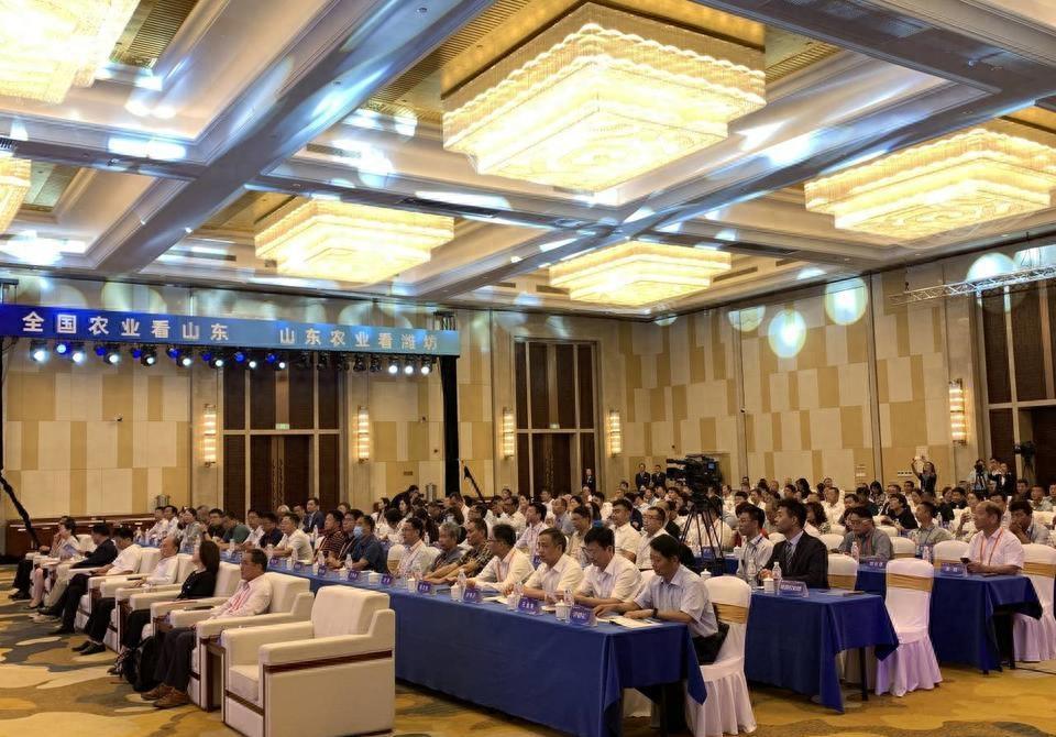 海峽新干線2023年最新一期回放，速度與激情的再度碰撞，海峽新干線2023年最新一期回放，速度與激情的再度交鋒