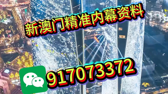 澳門正版資料2025年精準大全——探索真實與免費的平衡，澳門正版資料探索真實與免費的平衡點，澳門資訊精準大全（2025年）