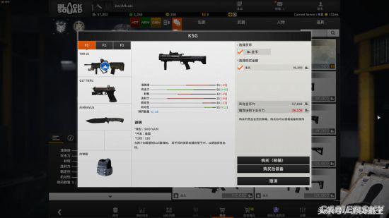 KSG霰彈槍，威力與性能的完美結(jié)合，KSG霰彈槍，威力與性能的巔峰融合