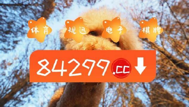 二肖一碼，探索神秘數(shù)字世界的奧秘，二合一的神秘數(shù)字世界探索，揭秘二肖一碼的魅力