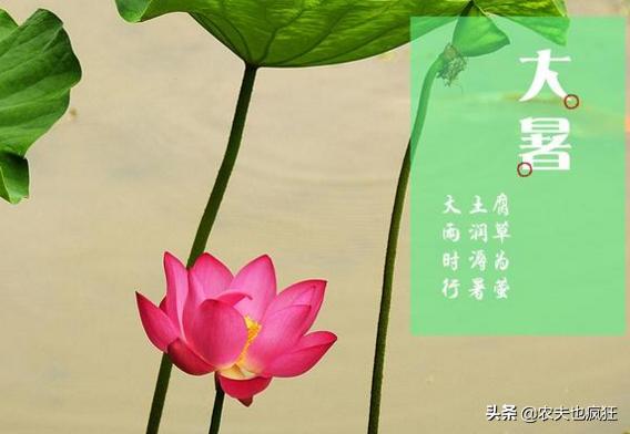 第488頁