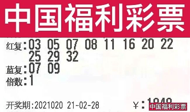 六玄視角下的澳門彩票開獎結(jié)果分析（XXXX年XX月XX日），六玄視角下的澳門彩票開獎結(jié)果深度解析（XXXX年XX月XX日開獎）