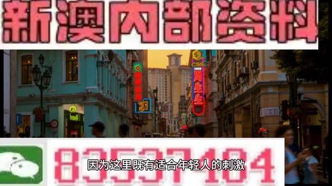 澳門內(nèi)部資料精準(zhǔn)大全2023，深度探索與預(yù)測分析，澳門內(nèi)部資料深度探索與預(yù)測分析2023