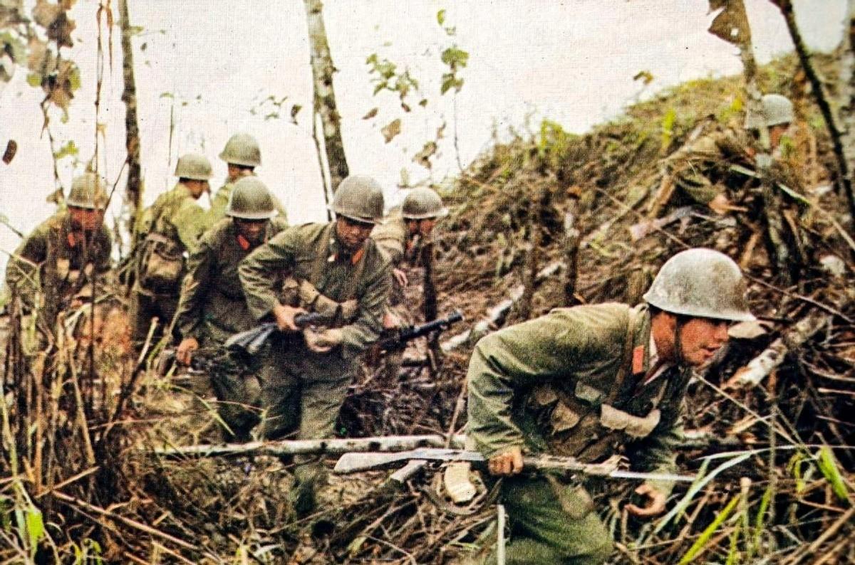 丁曉兵媳婦的軍銜，榮耀與責(zé)任并存，丁曉兵媳婦的軍銜，榮耀與責(zé)任同行