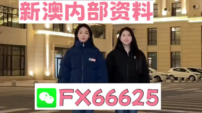 澳門王中王開一肖，探索神秘預(yù)測世界，澳門王中王神秘預(yù)測世界揭秘，一肖開運探索之旅