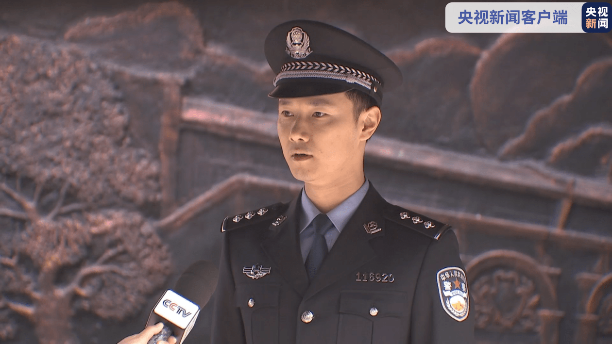 國家安全局與警察職業(yè)，職責、角色與差異解析，國家安全局與警察職業(yè)，職責、角色與差異深度解析