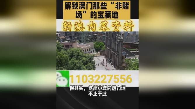 澳門(mén)必開(kāi)一肖二碼，探索背后的神秘與魅力，澳門(mén)必開(kāi)一肖二碼背后的神秘魅力探索
