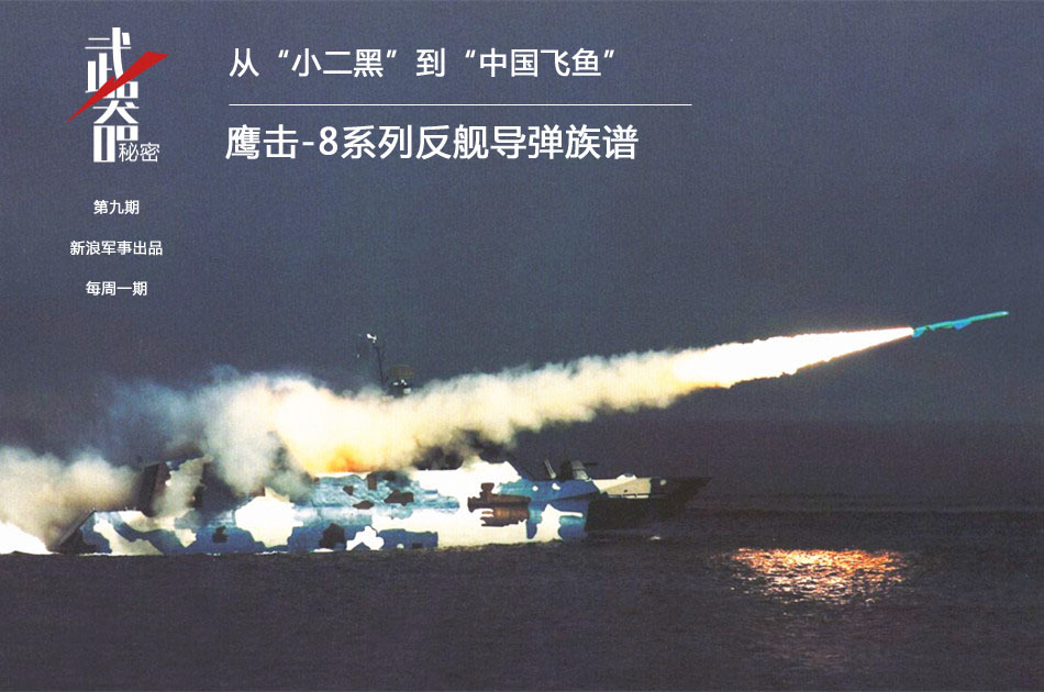 飛魚導(dǎo)彈與鷹擊18，兩種武器的獨(dú)特魅力與戰(zhàn)略價(jià)值，飛魚導(dǎo)彈與鷹擊18，武器的獨(dú)特魅力與戰(zhàn)略價(jià)值解析
