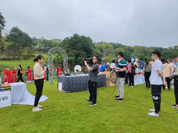 中央新聞在線直播，實時傳遞信息，展現(xiàn)時代風(fēng)采，中央新聞在線直播，實時傳遞時代風(fēng)采