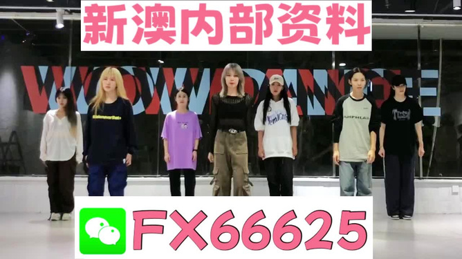 管家婆必出一中一特，深度解析與探討，管家婆必出一中一特，深度剖析與探討