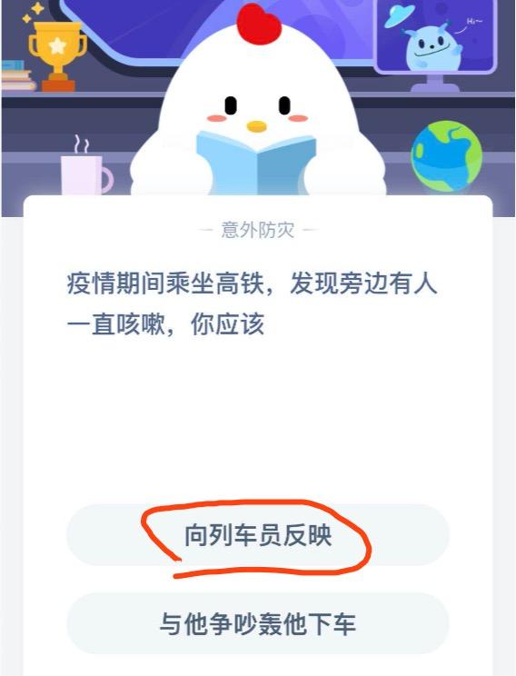今天支付寶小雞去哪了？探尋神秘消失的支付寶小雞之旅，探尋消失的支付寶小雞，揭秘小雞神秘消失之旅