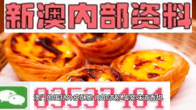 新澳彩今天最新資料解析與探討，新澳彩今日最新資料深度解析與探討